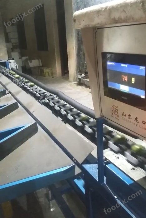 智能引领，精准分选 探秘凯祥新型牛奶枣电脑选果机