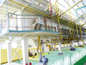 榨油机成套设备与大豆榨油机 专业供应商与技术驱动下的批发新格局